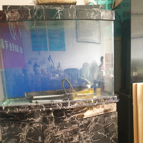 鋼琴、魚缸專運現(xiàn)場